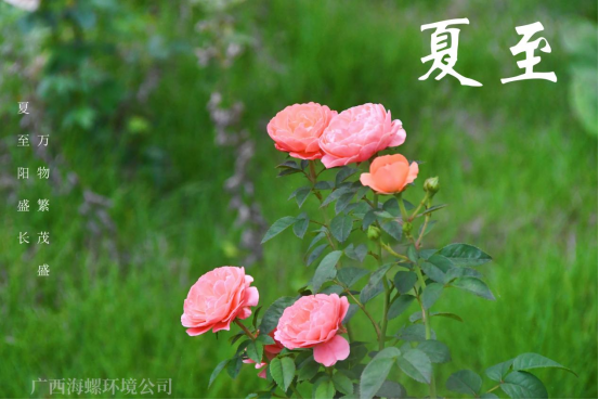 夏至|讓我們和盛夏美景撞個(gè)滿懷(1)129 夏至|讓我們和盛夏美景撞個(gè)滿懷(1)129