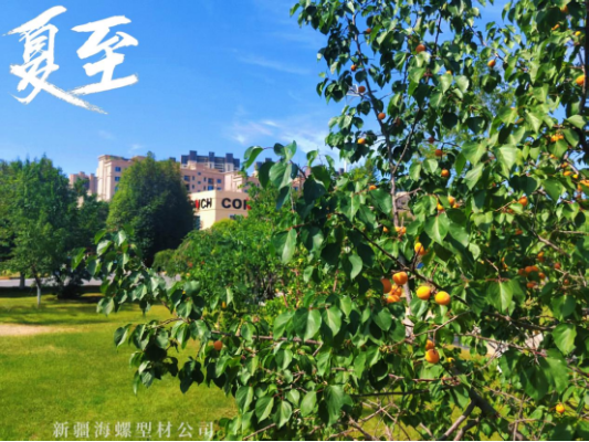 夏至|讓我們和盛夏美景撞個(gè)滿懷(1)142 夏至|讓我們和盛夏美景撞個(gè)滿懷(1)142