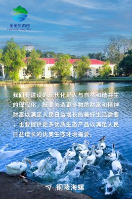 全國生態(tài)日海報-銅陵海螺