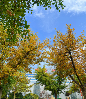 2025051023 海螺新材的秋日畫(huà)卷(1)(1)103 2025051023 海螺新材的秋日畫(huà)卷(1)(1)103