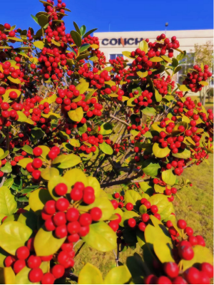 2025051023 海螺新材的秋日畫(huà)卷(1)(1)173 2025051023 海螺新材的秋日畫(huà)卷(1)(1)173