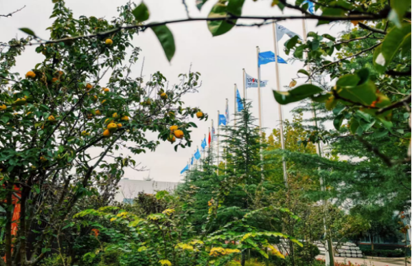 2025051023 海螺新材的秋日畫(huà)卷(1)(1)186 2025051023 海螺新材的秋日畫(huà)卷(1)(1)186